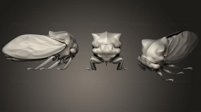 Insects (Insect beetles 14, INSCT_0047) 3D models for cnc